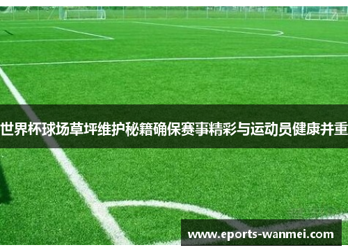 世界杯球场草坪维护秘籍确保赛事精彩与运动员健康并重